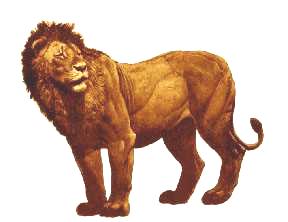 The American Lion, now extinct, were among the first lions on earth