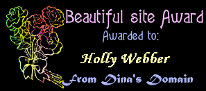 Dina's Design Award