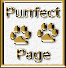 Purr-fect Page