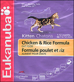 Magnificent Foothill Felines Bengal male kitten from Serrano Mai Tai of Foothill Felines and Spothaven Malamute of Foothill Felines, with the result of our Hollywood photo shoot - he's on the cover of the Eukanuba kitten food bags!