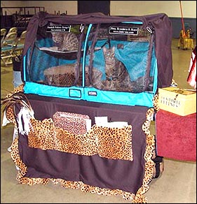 Foothill Felines show cage set up at the TICA cat show in Reno, NV!