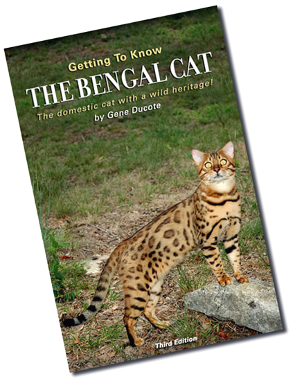 Gene Johnson Ducote - Getting to Know Bengal Cats